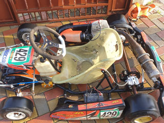 Benelli Karting фото 2