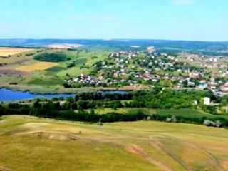 Hincesti 19 hectare pe un număr cadastral marginea orasului lingă pădure foto 3