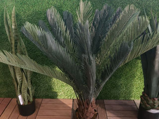 Plante decorative artificiale / Perete din plante artificiale foto 11
