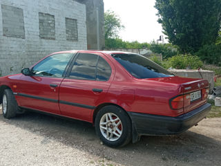 Nissan Primera foto 3