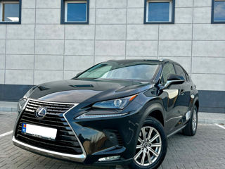 Lexus NX Series