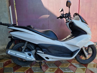 Honda Honda PCX 125 foto 4