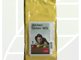 Delan WG