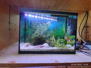 Продам аквариум 30 л со светом и фильтром. foto 8