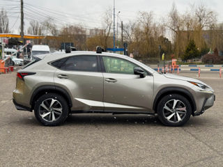 Lexus NX Series foto 5