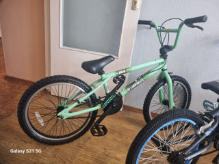 Bmx Biciclete Rotile la 20   Recent aduse Germany  bmx