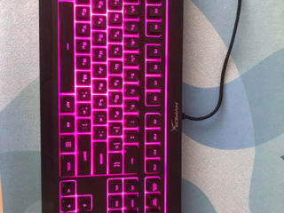 Tastatura HyperX alloy core rgb foto 3