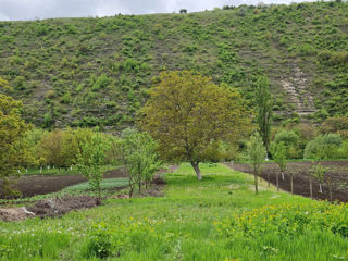 Butuceni - Casa + teren 26 ari la riu foto 5