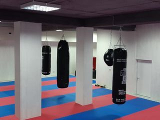 Comuna Truseni  Kickboxing, Box si MuaiThai