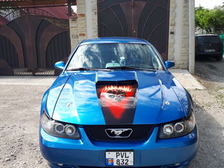 Ford Mustang foto 2