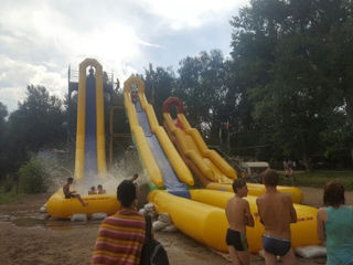 Vând topogane acvatice foto 1