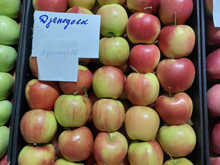 Vindem Royal Braeburn, Red Chief, Чёрный принц. foto 8