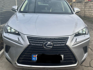 Lexus NX Series