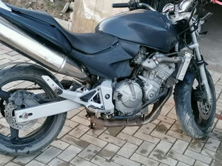 Honda hornet foto 2