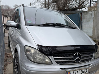 Mercedes Viano foto 4