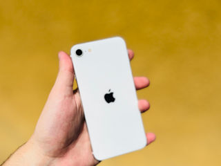 iPhone SE 2020 64 GB + гарантия 12 месяцев!! В кредит 0%! foto 4