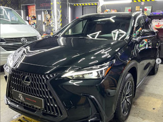 Lexus NX Series