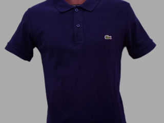 Lacoste foto 5