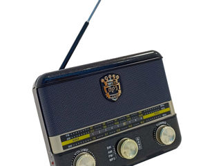 Радио с флешкой foto 4