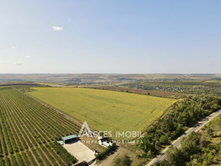 Teren agricol, 18 ha, traseu M1 Boșcana! foto 2