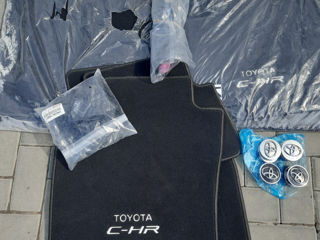 Toyota CH-R foto 1