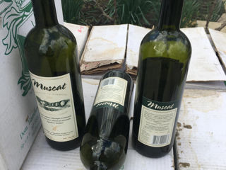 Sticle goale pentru vin