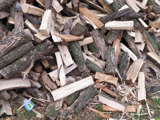 Дрова , lemne de foc, дрова с доставкой на дом,  дрова колотые foto 2