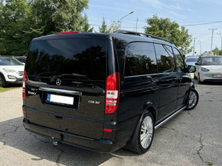 Mercedes Viano foto 4