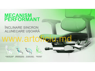 Scaun ergonomic Ergohuman Luxury 2 - este proiectat pentru a asigura confortul spatelui dvs. foto 12