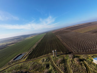 Vanzare Teren Agricol Ferma Depozit Arteziana 380v Bazin foto 4