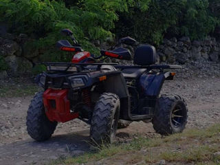 Viper Atv 250cc foto 0