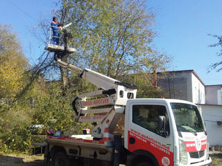 Defrisari - servicii profesionale! Curățare copaci! foto 6