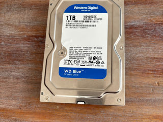 HDD WD Blue 1TB Western Digital