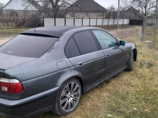 BMW 5 Series foto 7