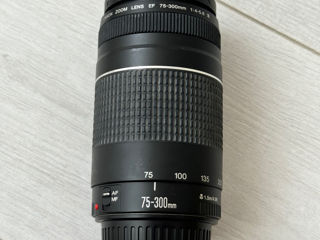 Canon EF 75-300mm f/4-5.6 IlI