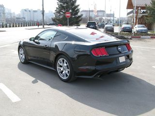 Ford Mustang foto 6