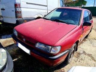 Nissan Sunny foto 1