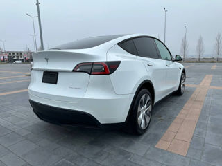 Tesla Model Y foto 4