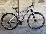 Specialized Expert 29er foto 1