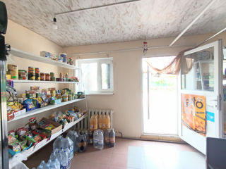 De Închiriat – Magazin alimentar funcțional, satul Sofia, r. Drochia  foto 3