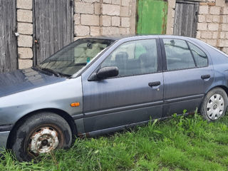 Nissan Primera foto 4