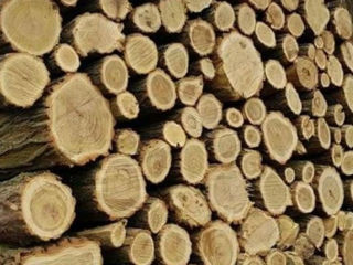 Vînd lemne de foc   livrare gratis?