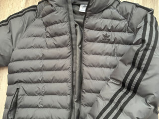 Scurta Adidas