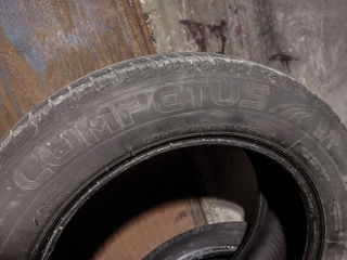 Lassa Competus H/P 225/60 R18 foto 6