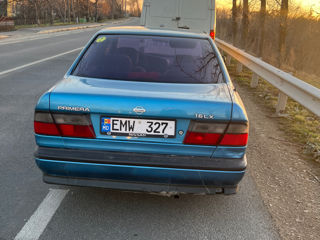 Nissan Primera foto 3