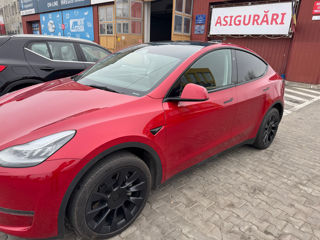 Tesla Model Y foto 3