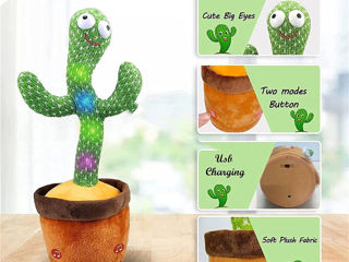 Cactus Dansator si Vorbitor de jucarie repeta, melodii, lumini foto 10