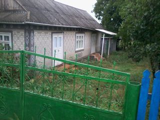 Urgent !! se vinde casa  cu sarai in satul chetrosu, r-nul drochia , pe linga casa sunt 40 soci. foto 9