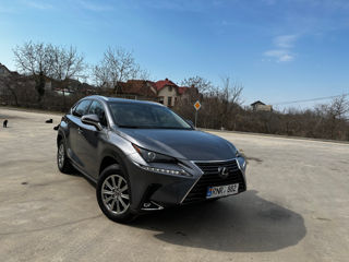 Lexus NX Series foto 6