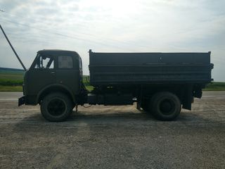 Maz 5549 cельхо-самосвал foto 2